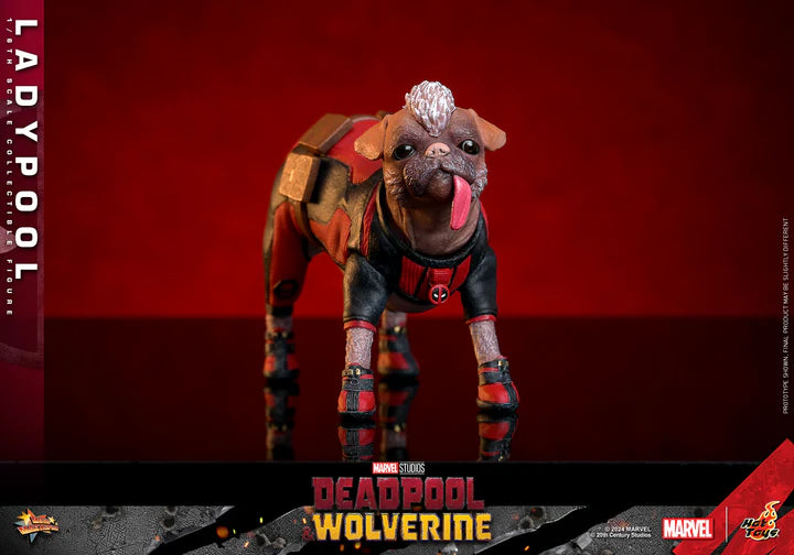 HOT TOYS MARVEL's DEADPOOL AND WOLVERINE - 1/6TH SCALE LADYPOOL COLLECTIBLE FIGURE - MMS747 - Anotoys Collectibles