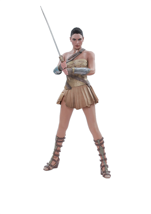 HOT TOYS DC WONDER WOMAN (TRAINING ARMOR VERSION) 1/6 MMS424 - Anotoys Collectibles