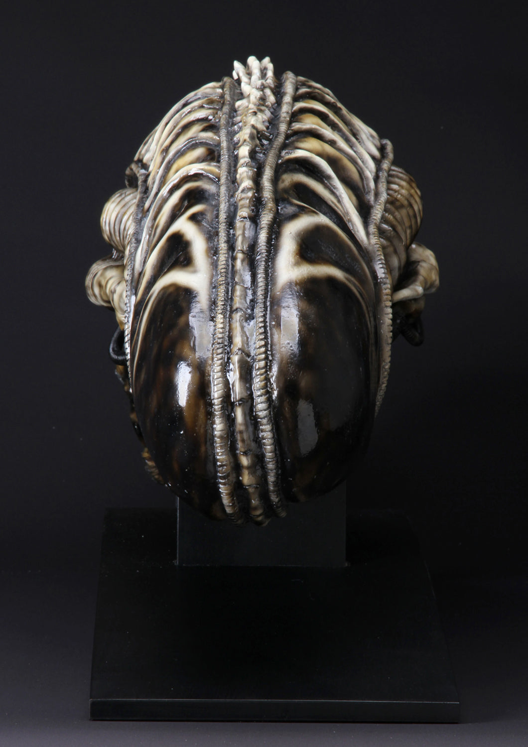 COOLPROPS - ALIEN WARRIOR LIFE-SIZE - Anotoys Collectibles