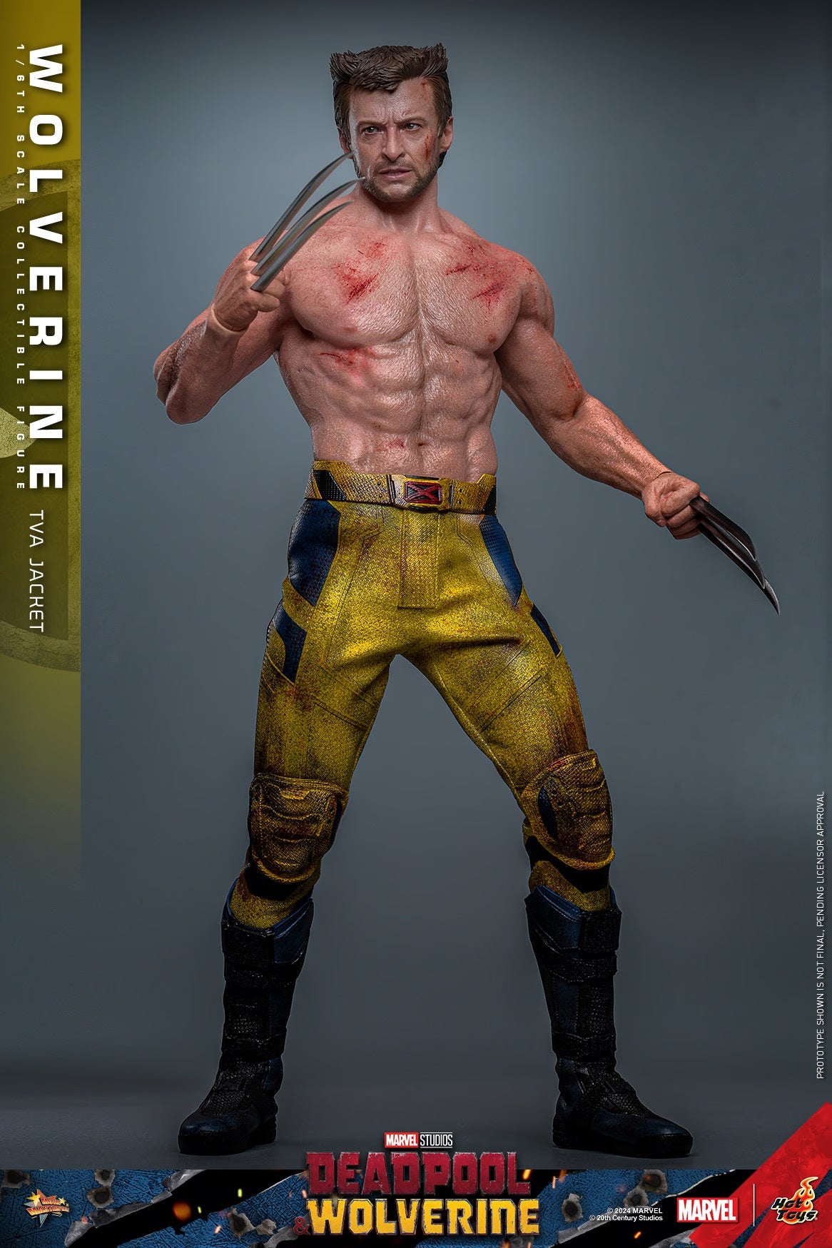 HOT TOYS MARVEL’S DEADPOOL & WOLVERINE - 1/6TH SCALE WOLVERINE (TVA JACKET VERSION) COLLECTIBLE FIGURE - MMS756 (PRE-ORDER) - Anotoys Collectibles