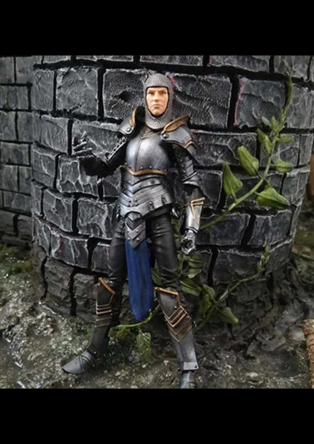 KNIGHT OF ACCORD - FEMALE