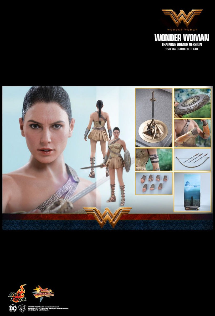 WONDER WOMAN (TRAINING ARMOR VERSION)