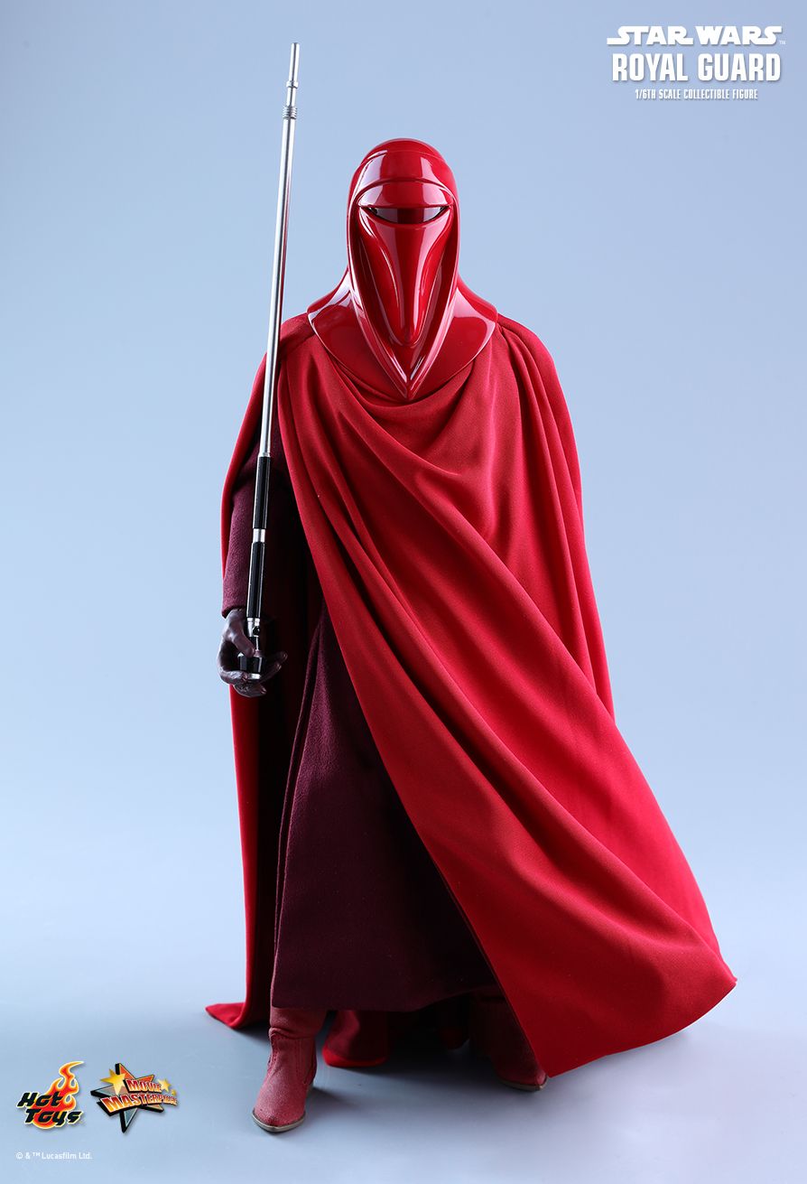 JEDI ROYAL GUARD