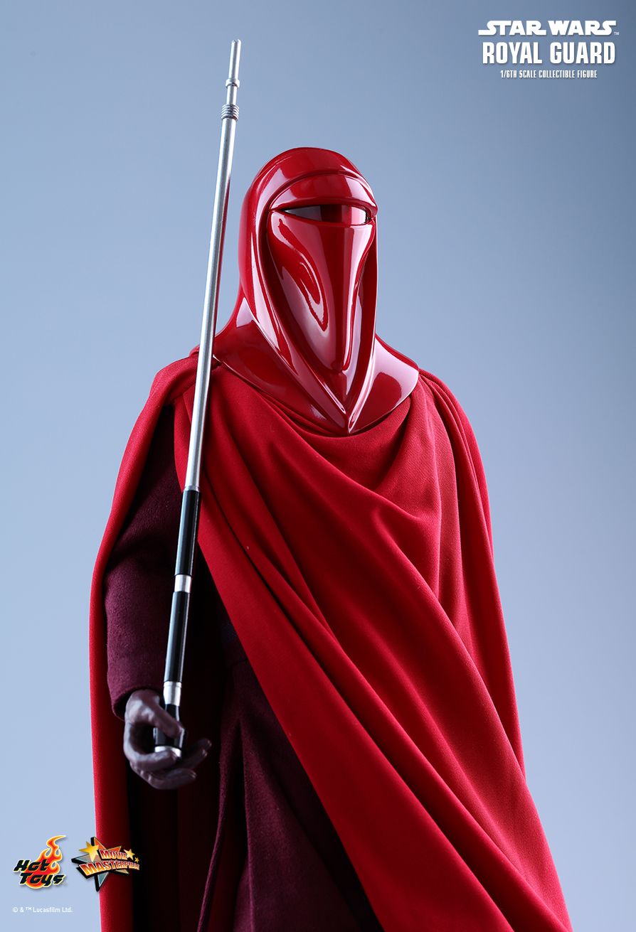 JEDI ROYAL GUARD