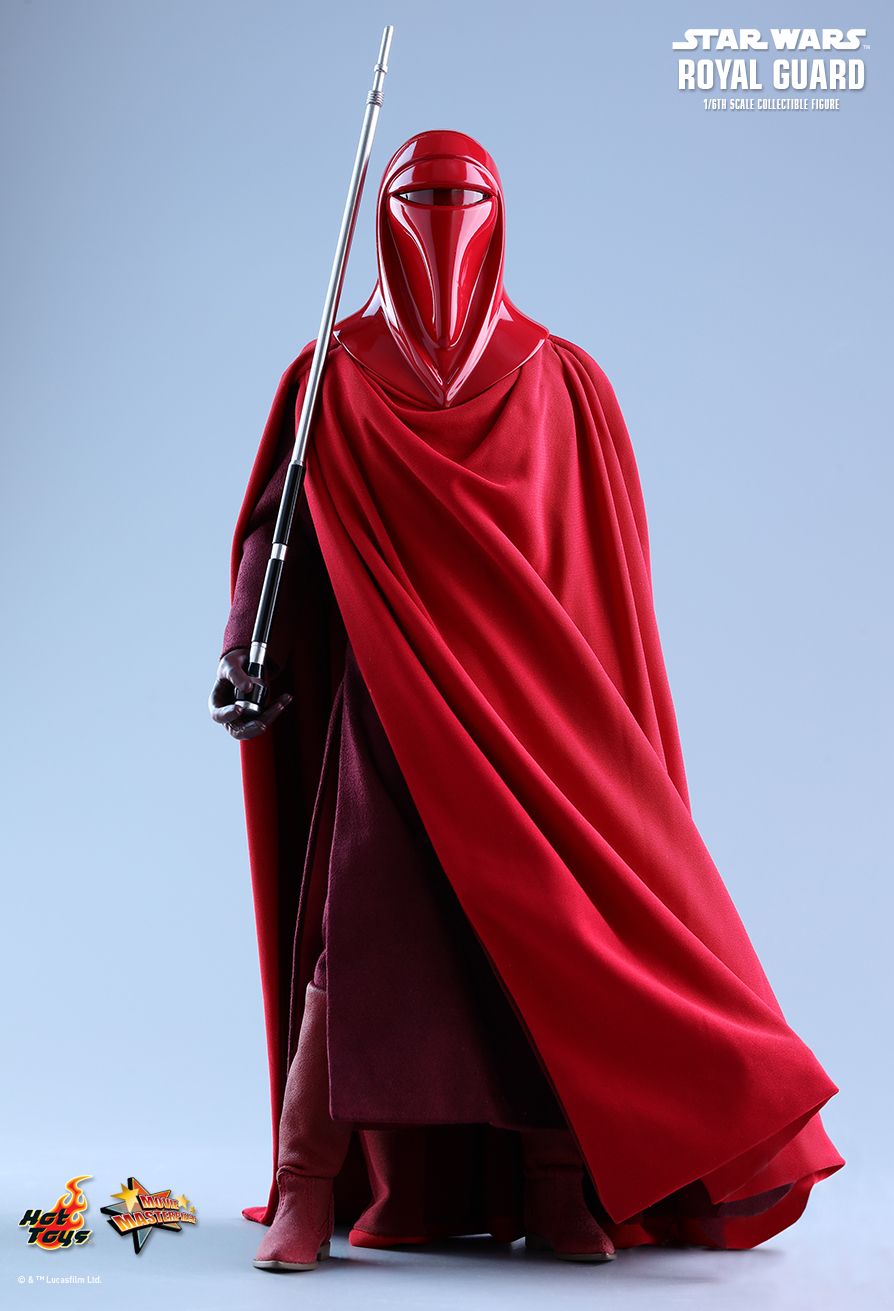 JEDI ROYAL GUARD