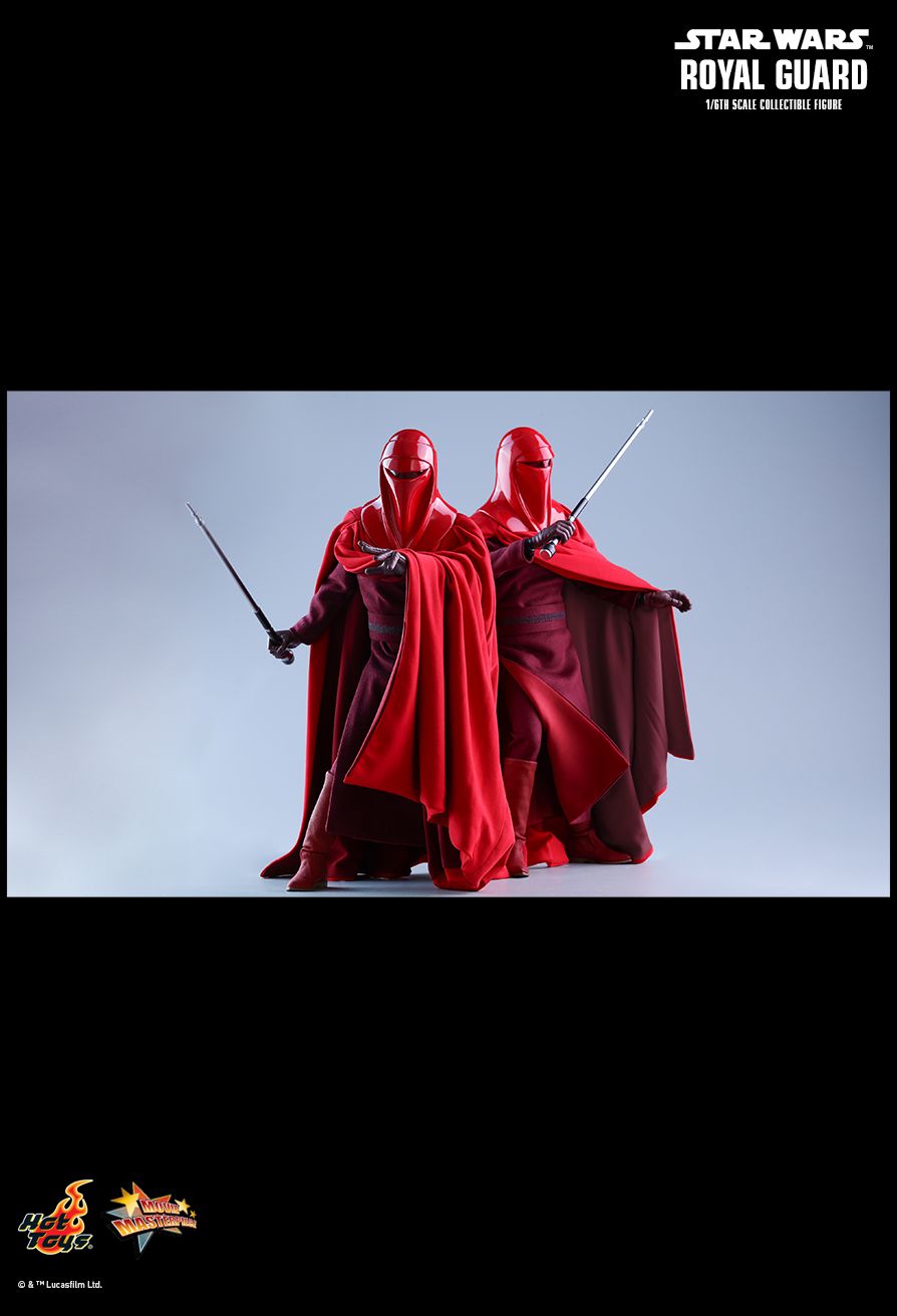 JEDI ROYAL GUARD