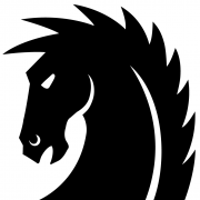 DARK HORSE