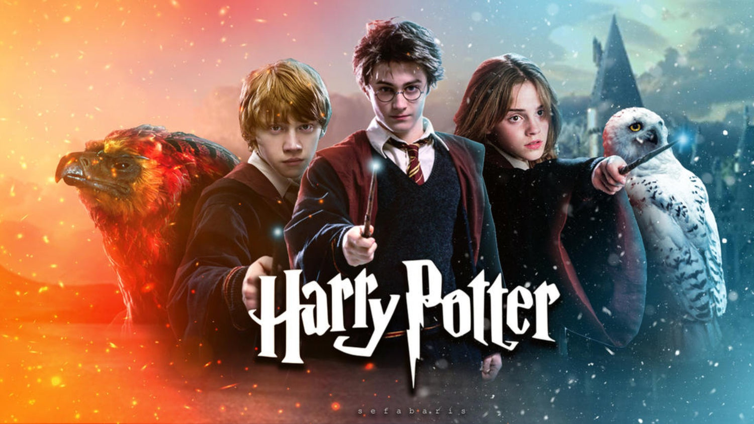 HARRY POTTER