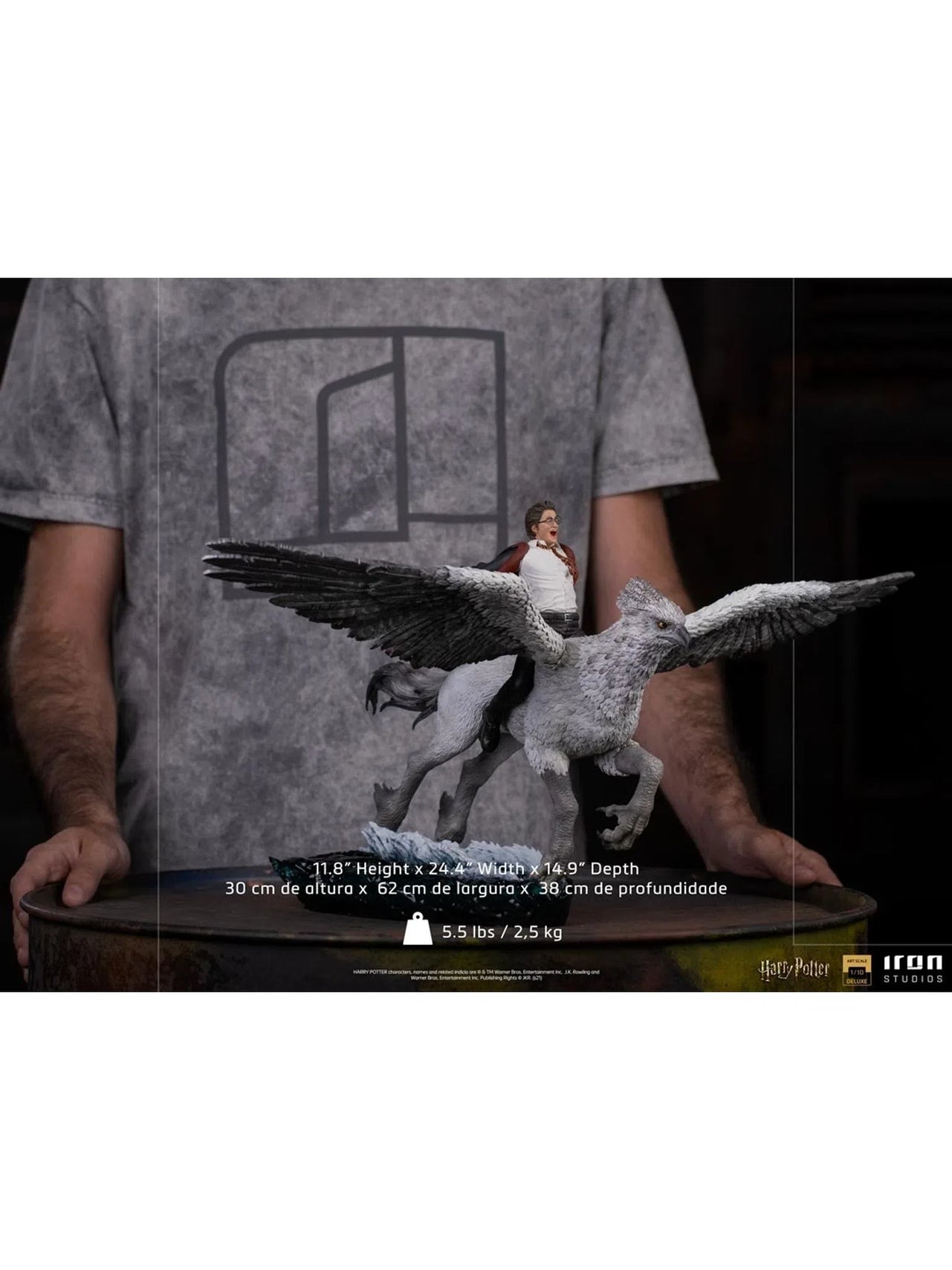 IRON STUDIOS HARRY POTTER AND BUCKBEAK DELUXE 1/10 WBHPM41021-10 - Anotoys Collectibles