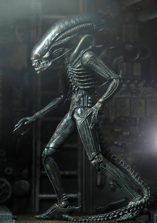 NECA ALIEN 7 BIG CHAP ULTIMATE EDITION 51646 - Anotoys Collectibles