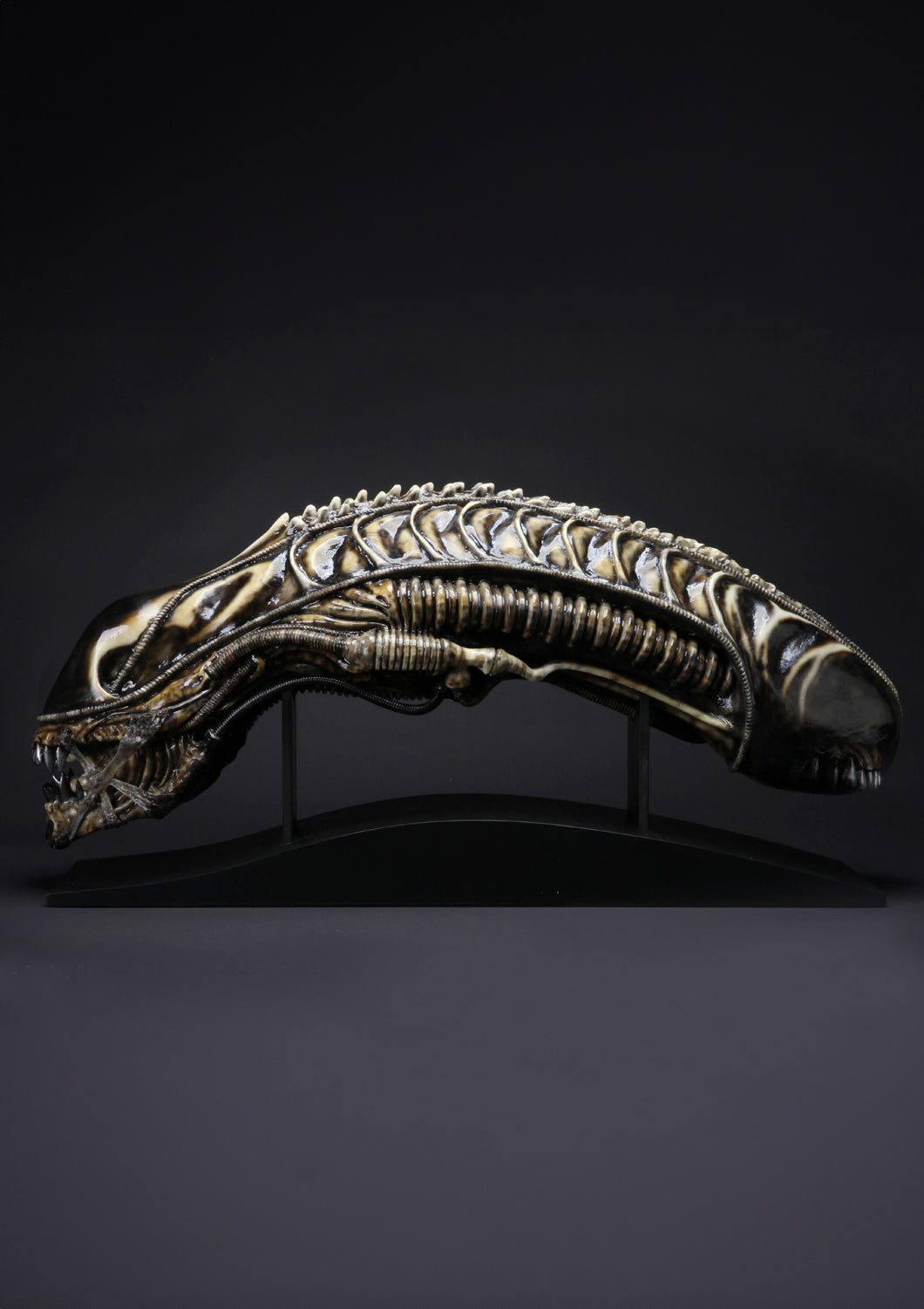 COOLPROPS - ALIEN WARRIOR LIFE-SIZE