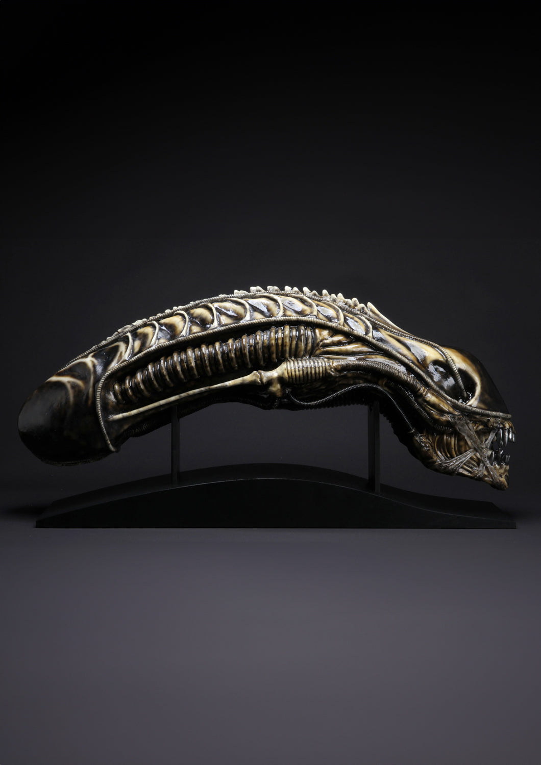 COOLPROPS - ALIEN WARRIOR LIFE-SIZE