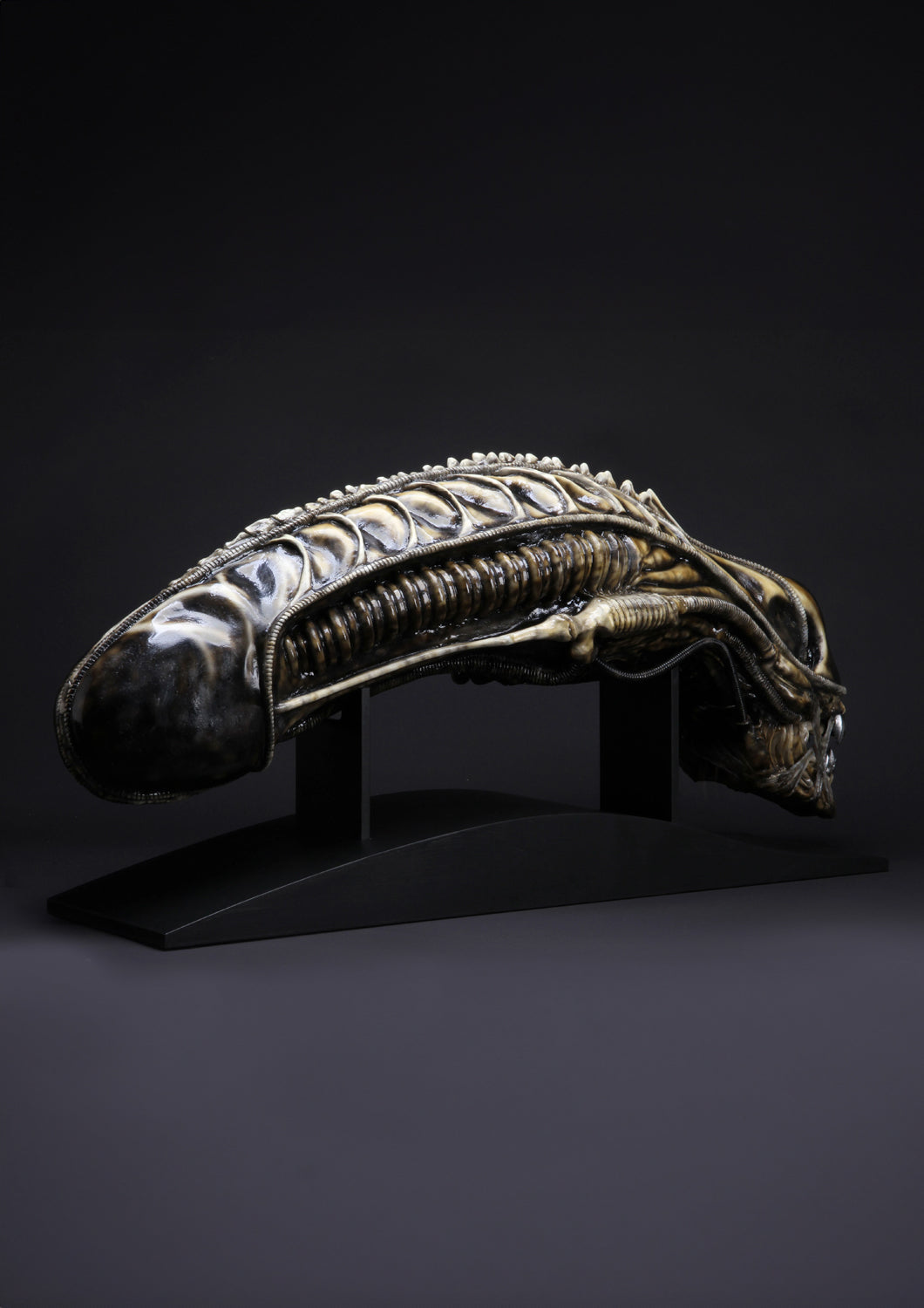 COOLPROPS - ALIEN WARRIOR LIFE-SIZE