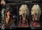 PRIME 1 STUDIO MUSEUM MASTERLINE PREY FERAL PREDATOR DX BONUS VERSION(PRE-ORDER)