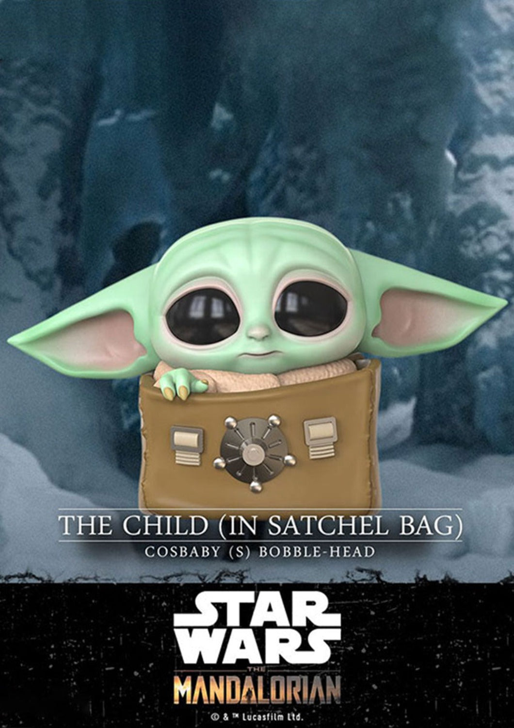 THE CHILD IN SATCHEL BAG
