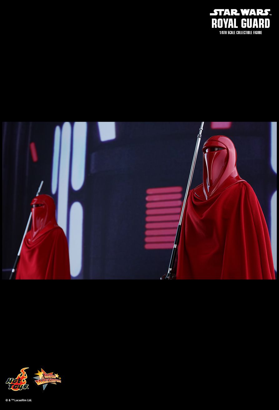 JEDI ROYAL GUARD